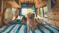 The dog in campervan interior.AI generated image Royalty Free Stock Photo