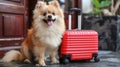 A small dog sitting next to a red suitcase on the floor, AI Royalty Free Stock Photo
