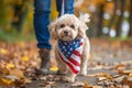 A small dog wearing an American flag bandana sitting at the feet of its owner in the park Royalty Free Stock Photo