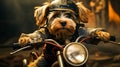 Small dog wearing helmet sitting on motor bike. Generative AI Royalty Free Stock Photo