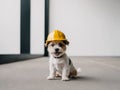 A small dog wearing a yellow hard hat sitting on the ground. Royalty Free Stock Photo