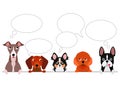 Small dogs border with speech bubbles