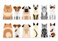 Small dogs and cats border set,full length, front and back Royalty Free Stock Photo