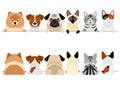 Small dogs and cats border set, upper body, front and back Royalty Free Stock Photo