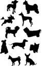 Small dogs silhouettes