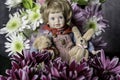 Small doll chrysanthemums and spring flowers Royalty Free Stock Photo