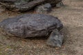 Small dolmen burial chamber at neolithic park