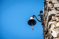 Small door bell hanging on the wall - Tellaro village Liguria Italy Royalty Free Stock Photo