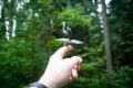 Small dragonfly on hand Royalty Free Stock Photo