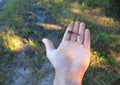 Small Dragonfly landing on my hand. Royalty Free Stock Photo