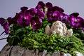 Little angel dreaming of heaven, flower arrangement for a grave Royalty Free Stock Photo