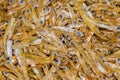 Small dried fish with salt, in bulk close-up, uniform texture background Royalty Free Stock Photo