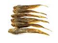 Small dried sea fish Royalty Free Stock Photo