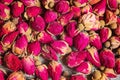 Small dried tea rose buds Royalty Free Stock Photo