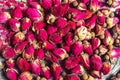 Small dried tea rose buds Royalty Free Stock Photo