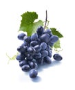 Small dry blue grapes bunch on white background