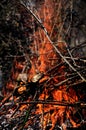 Small dry branches burn on a fire in a large fire. Royalty Free Stock Photo