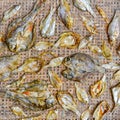 Small dry fish on the net Royalty Free Stock Photo