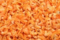 Small dry shrimp Royalty Free Stock Photo