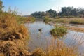 Small, drying stream in Sabi Sands