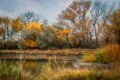 Duck Pond in the Autumn Royalty Free Stock Photo