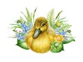 Small duckling with flowers sitting in the green grass. Hand drawn illustration. Cute newborn baby bird duck. Fluffy