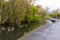 Small ducks swimming on the river that flows through Ward Park in Bangor County Down in Northern Ireland