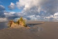 Small dune on vast beach Royalty Free Stock Photo