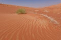 Small dune with wavy streaks on red sand and bushes in the Rub Al Khali desert Royalty Free Stock Photo