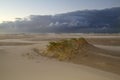 Small dune on windy beach Royalty Free Stock Photo