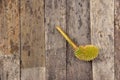 Small durian on wooden floor