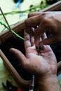 Small earth worms in hand. gardening at home