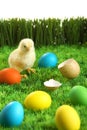 Small easter chick