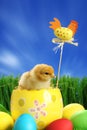 Small easter chick