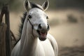 small elegant laughing horse with black eyes and gray neck