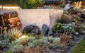 Small Elegant Rockery Garden Illuminated by LED Lights