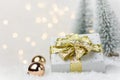 Small elegant silver gift box tied with golden ribbon bow baubles in winter scene forest with fir trees snow. Christmas New Years Royalty Free Stock Photo