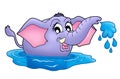 Small elephant in water Royalty Free Stock Photo