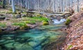 Small emerald river rushing through the mountain canyon Royalty Free Stock Photo