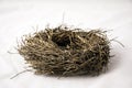 Small Empty Nest