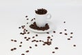 Small espresso cup full of roasted coffee beans in the studio Royalty Free Stock Photo