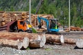 A small excavator and a large truck do the work of loading and removing construction materials against the background of a sawn Royalty Free Stock Photo