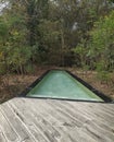 Small exotic pool with jungle view