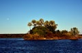 An overgrown island in the Zambezi