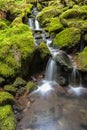 Small falls through moss covered rocks. Royalty Free Stock Photo