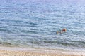 Small family swimming in the clear blue sea at Plomari in Lesvos