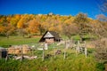 Small farm under castle Tocnik, autumn landscape, sunny day, goats and sheep graze on a green lawn among the trees, wooden house Royalty Free Stock Photo