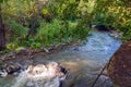 A small fast river in green garden of a country house Royalty Free Stock Photo