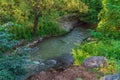 A small fast river in green garden of a country house Royalty Free Stock Photo