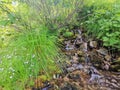 small fast river stream in mountain Royalty Free Stock Photo